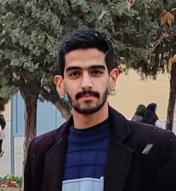 محمدمهدی زارع